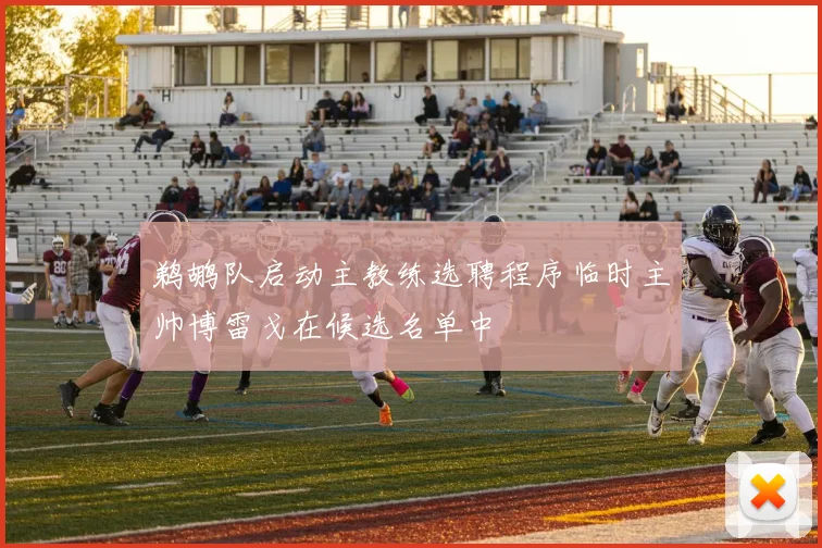 鹈鹕队启动主教练选聘程序临时主帅博雷戈在候选名单中